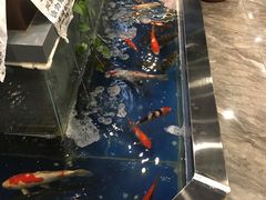 -洞庭家宴·头牌甲鱼(广渠门店)