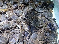 -聚盛源蒸汽海鲜火锅烤肉自助(巨川金海岸购物广场店)