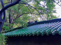 -腊山国家森林公园