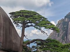 -黄山风景区