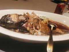 -常州环球恐龙城维景国际大酒店