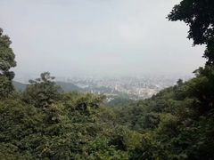 -小洲村