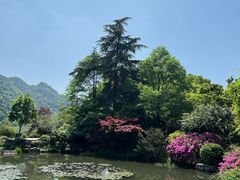 -中国茶叶博物馆(双峰馆区)