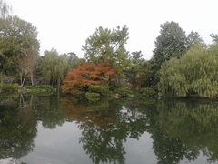 -西湖外事游船(花港观鱼码头)