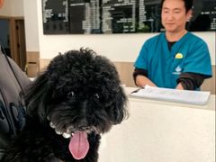 -申普宠物医院·眼科·心内科·影像科(普陀分院)
