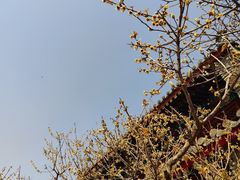 -国家植物园