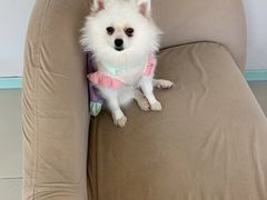 -怪兽屋·羊驼·猫咖·狗咖(俊华广场店)