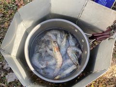 -洨河生态公园