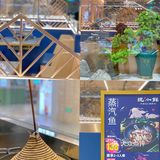 蒸汽鱼🐟 味到鲜 五分钟味到云南💐