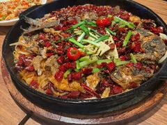 -老板恋上鱼(恒隆广场店)