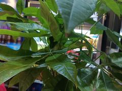 -湘当爱·鲜煮现炒(松岗立业路店)