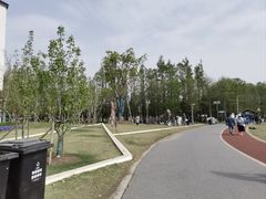 -上海长兴岛郊野公园