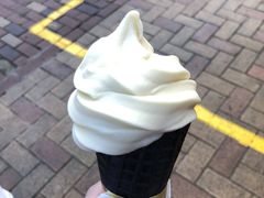 豆乳冰淇淋-仙境豆夫(步行街旗舰店)