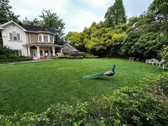 -J Create城市露营咖啡·简餐·宠物(上海动物园店)