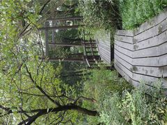 iphone_upload_pic-西湖茶墅