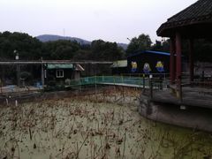 -舟山甬东休闲鱼庄(农家乐)
