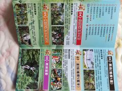 -天鹿湖森林公园