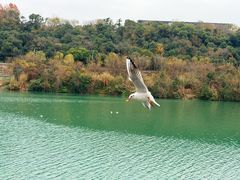 -绵阳科技馆