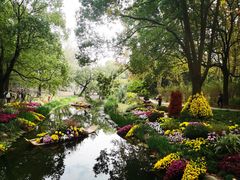 -共青国家森林公园-售票处