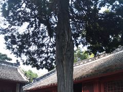 -南阳卧龙岗武侯祠