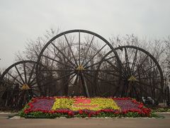 -呀路古热带植物园