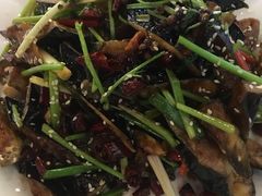 -大眼锅贴饺子(河西店)