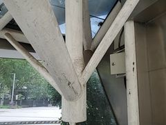 -浩海火烧云傣家菜(京广店)