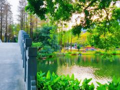 -四海公园(南山区)