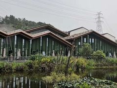 -西湖风景区-江洋畈生态公园