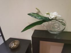 点击看大图 -Oasis Beauty水磨坊科技美肤中心