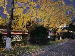 -重庆安琪儿妇产医院-妇幼保健联盟医院