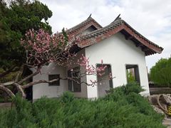 -团结湖公园