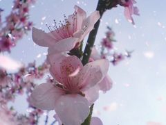 -南京金牛湖风景区