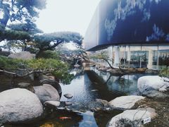 -罗红摄影艺术馆