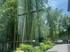 -奔驰上海利星(七宝店)