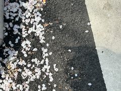 -溪涧堂农家土菜(神仙居店)