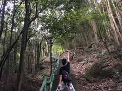 -华溪森林公园-售票处