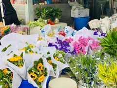 -秦美花卉(天朗·莱茵小城2期店)