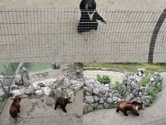 -成都动物园