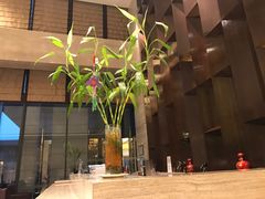 -廊坊固安福朋喜来登酒店