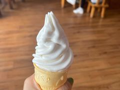 -蒙醇鲜酿酸奶