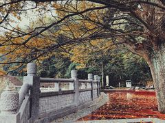 -径山寺