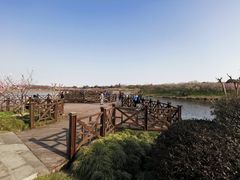 -上海海湾国家森林公园