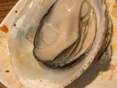 -烧蠔帮·生蚝海鲜牌档(观海店)