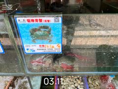 -三亚老渔民海鲜店
