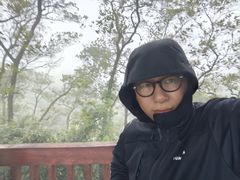 -大屏嶂森林公园