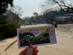 -保定市动物园