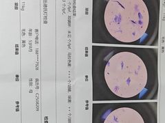 -宠颐生中康贝怡动物医院