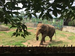-西安秦岭野生动物园