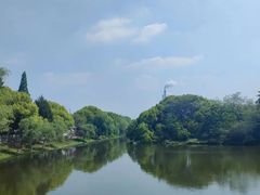 -太子山公园(园东路)